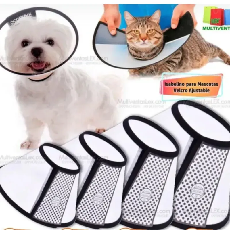 COLLAR ISABELINO TALLA 7