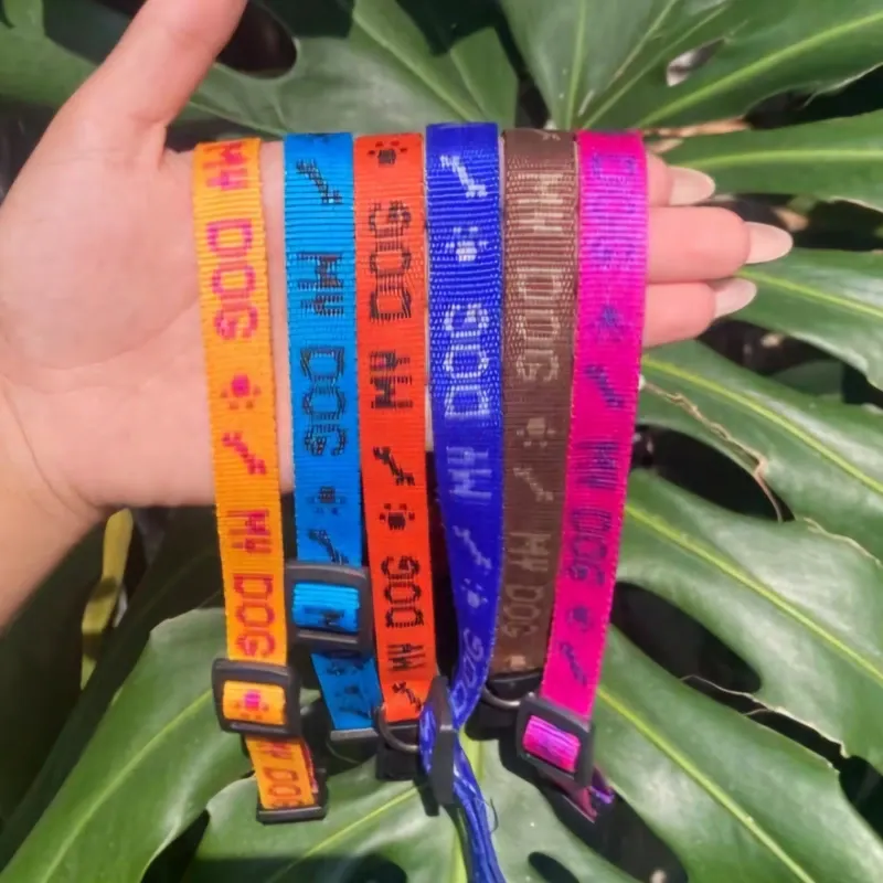 COLLAR PARA PERROS PEQUEÑOS Y MEDIANOS