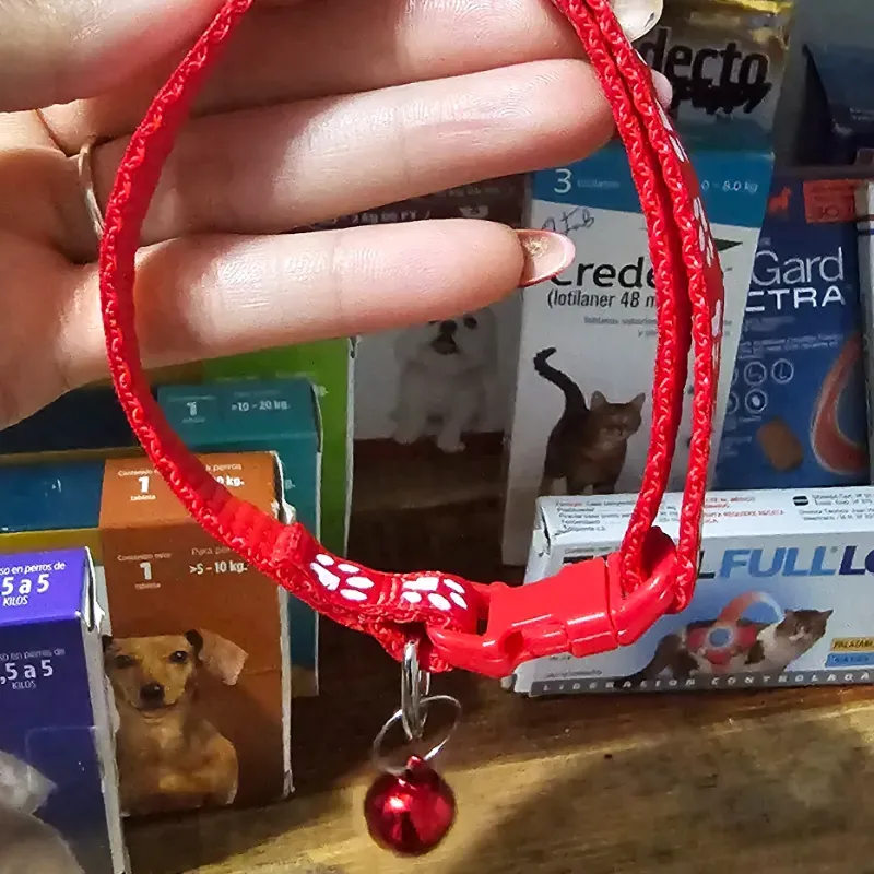 COLLAR PEQUEÑO CON CASCABEL