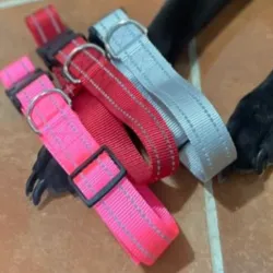 COLLAR REFLECTANTE PARA MASCOTAS
