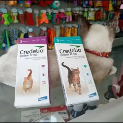 Credelio pars gatos 48 mg (2-8 kg)