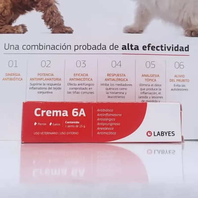 CREMA 6A (15 g)