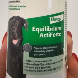 EQUILIBRIUM ACTIFORTE 60 TAB (Bayer/Elanco)