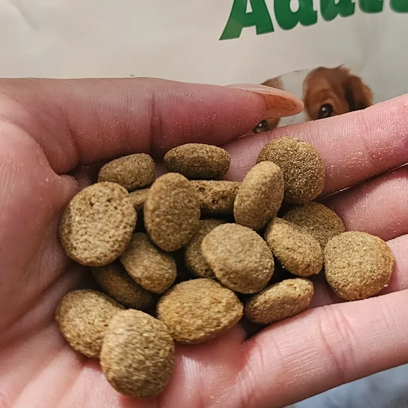 FIDOG ADULTO 4 KG