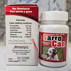 GARROCAN (Antibiótico amplio espectro, antihistamínico, analgésico, expectorante)