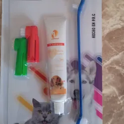 KIT DENTAL