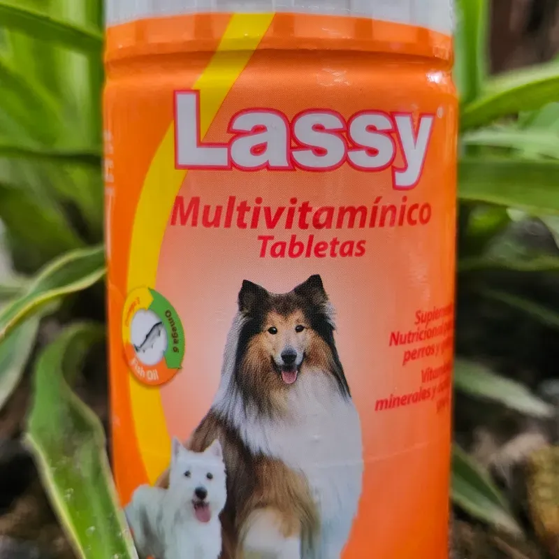 Lassy multivitaminas 30 tabletas