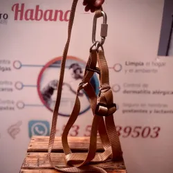 PECHERA COMERCIAL PARA PERROS GRANDES Y FUERTES