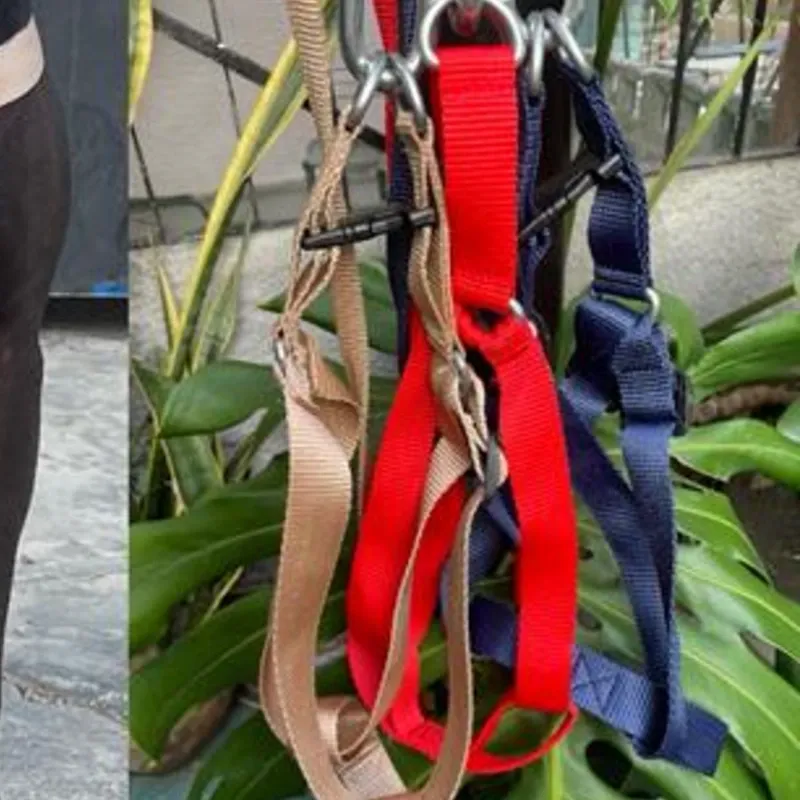 PECHERA COMERCIAL PARA PERROS GRANDES Y FUERTES