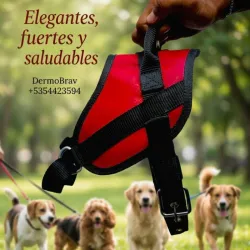 PECHERA MODELO K9