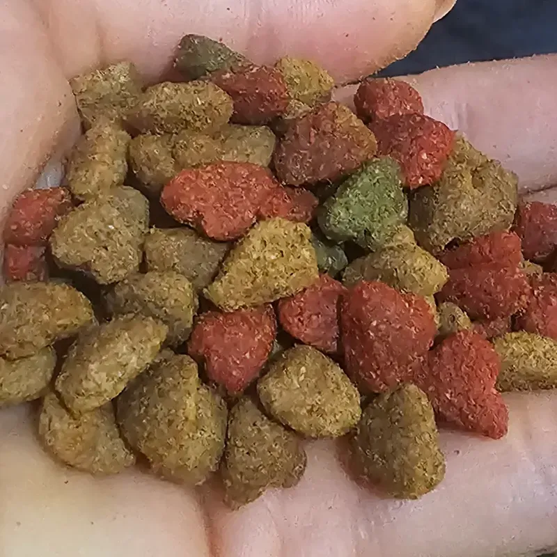 PIENSO FELINE 20 KG (GATOS ADULTOS)