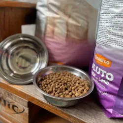 PLATO DE ACERO INOXIDABLE PARA MASCOTAS