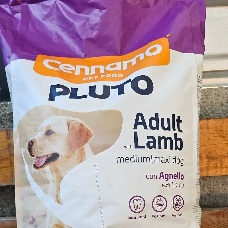 PLUTO ADULT LAMP (CORDERO) 15 KG