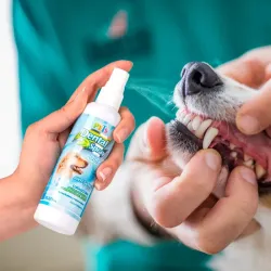 SPRAY DENTAL FANCY PETS