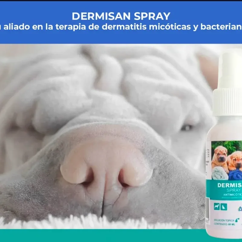 Spray Dermisan 60 ml