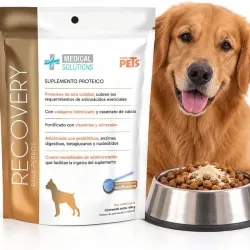 SUPLEMENTO PROTEICO PARA PERROS 400 g