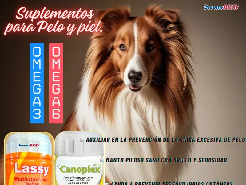 Suplementos para pelo y piel