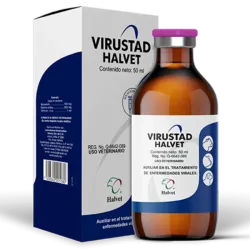 VIRUSTAD 100 ML