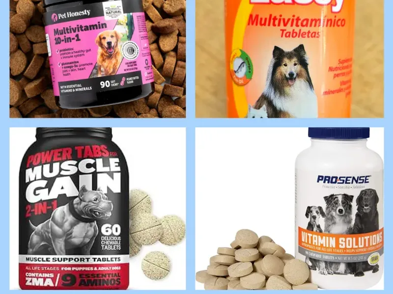 Vitaminas y Suplementos