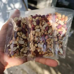 Maní tostado natural (45g)