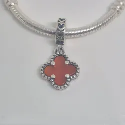 CHARM129