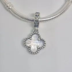 CHARM130
