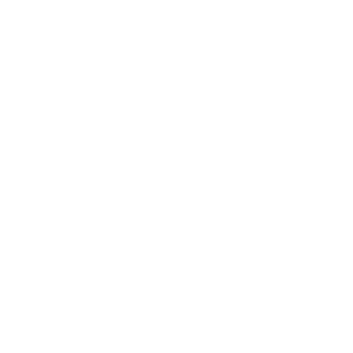 Destino C-40