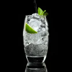 Gin Fizz