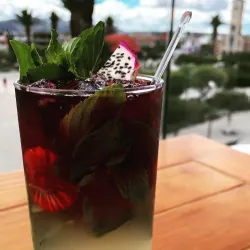 Mojito de Vino