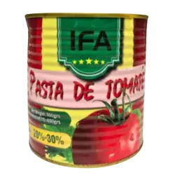 PASTA DE TOMATE (LATA 400GR)