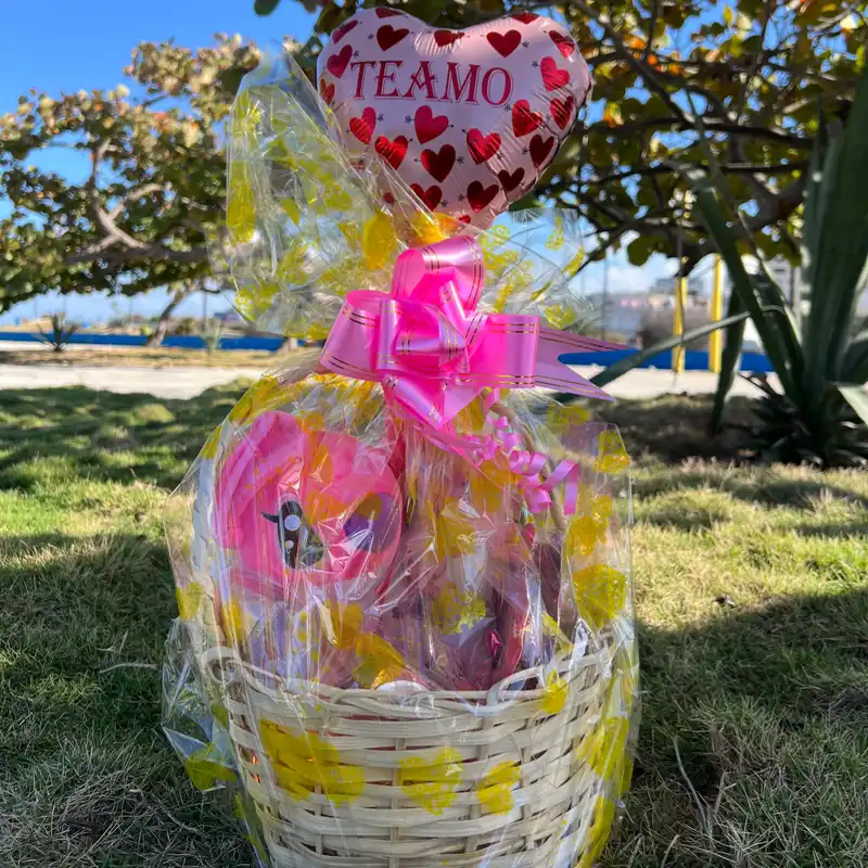 Cesta de Regalo 🎁