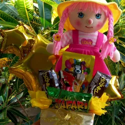 Mini Ancheta