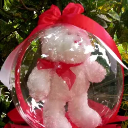 Peluche encapsulado 