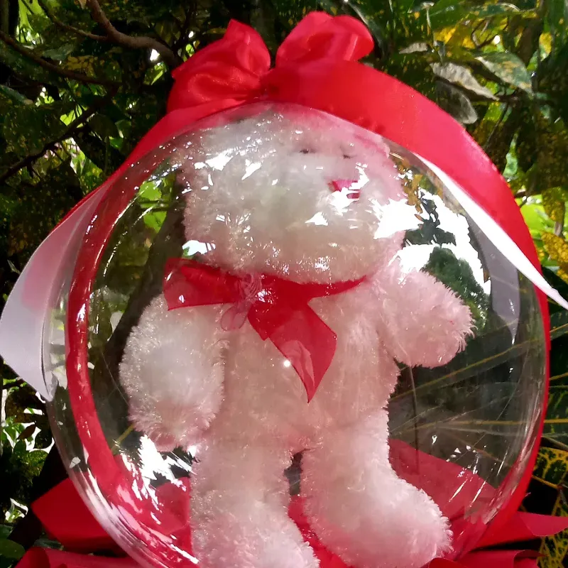 Peluche encapsulado 