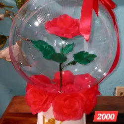 Rosa encapsulada 