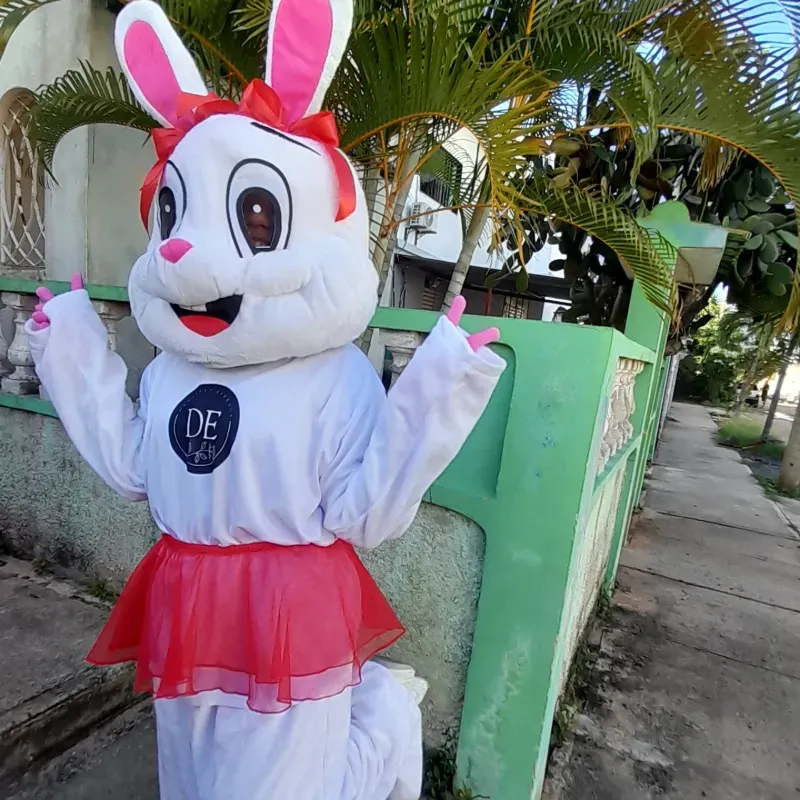 Conejita Eterna❤️🐰🐇
