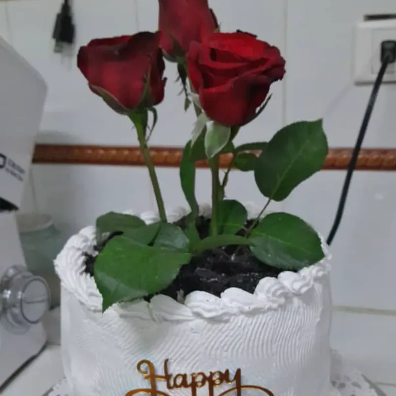 Dulce tentación especial Primium 
