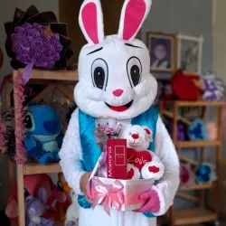Entrega sorpresa con el conejo 