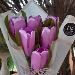 Jardin de tulipanes 🌷 