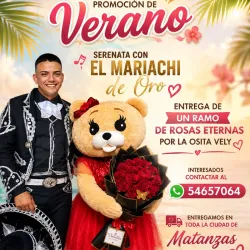 Mariachi en Detalles Eternos combo especial