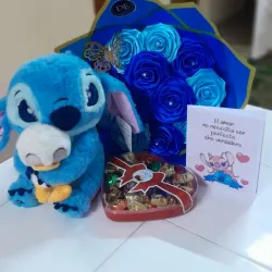 Mini combo stish 💙