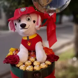 Regalo para niño 🧒 