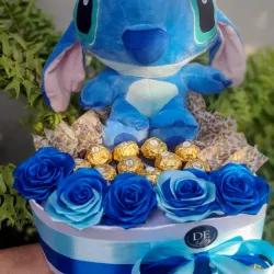 Regalo Stish 
