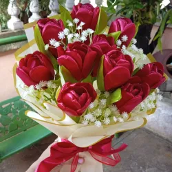 Tulipanes del amor