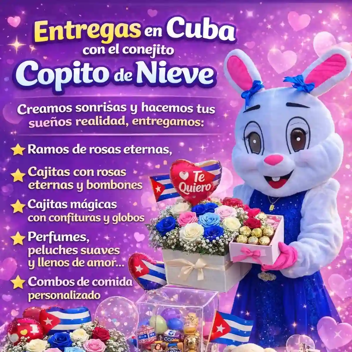 Combos y Sorpresas Dayliettis