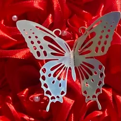 Mariposas Grandes 