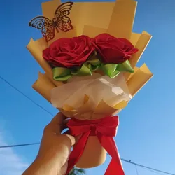 Ramo de 2-Rosas Eternas ✨