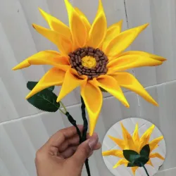 1 Girasol