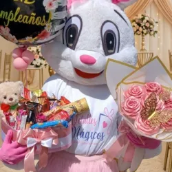 Primavera rosa