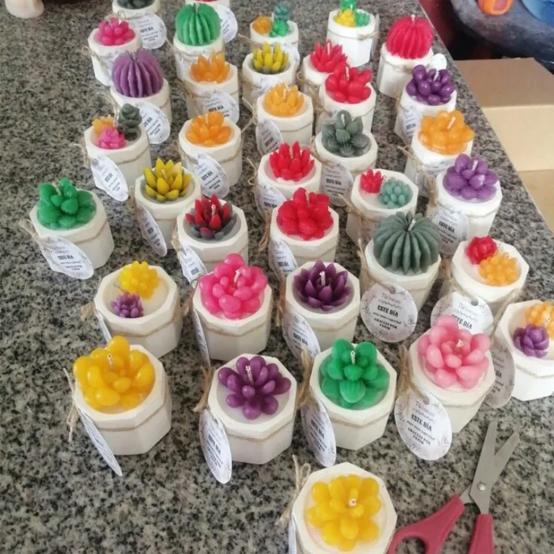 Velas de cactus 